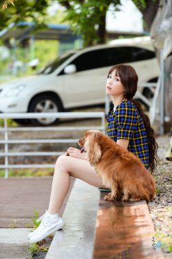 民兵葛二蛋电视剧全集在线观看